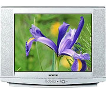 Ремонт блока управления Samsung CS-29U2 R