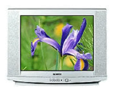 Ремонт блока управления Samsung CS-29U2 WTQR